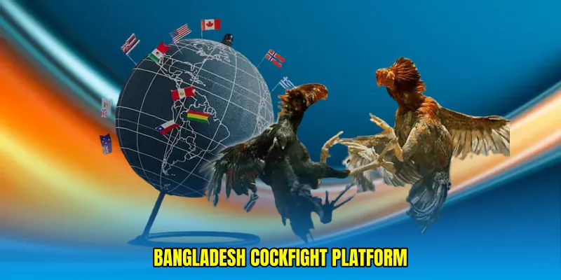 Bangladesh cockfight platform