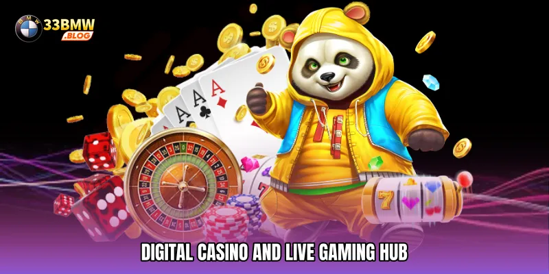 Digital Casino and Live Gaming Hub