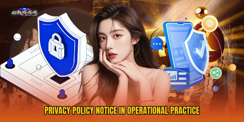 Privacy Policy Notice in Operational Practice